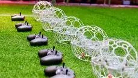 开云体育app安装