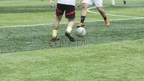 开云体育app安装 资讯 142229 ztc