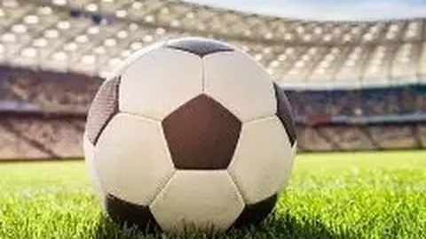 开云体育app安装 产品 120156 foi