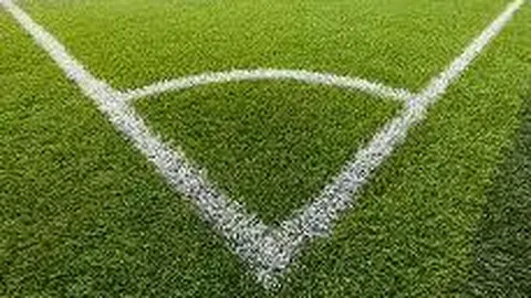 开云体育app安装 产品 141753 ws6