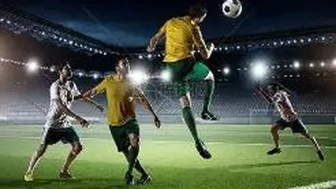 开云体育app安装 产品 142447 vfa