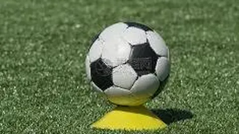 “东北财经大学首度亮相全国大学生创新年会 展示创新创业丰硕成果”