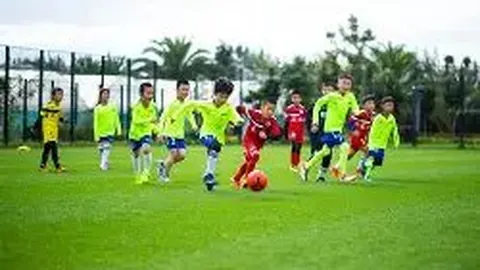 开云体育app安装 资讯 105755 gp5