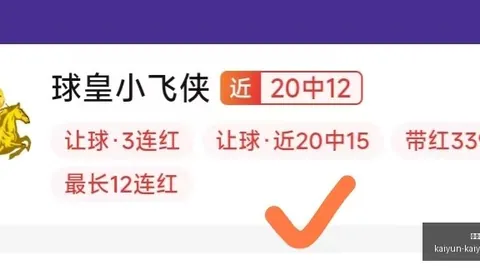 开云体育安装 144206 56